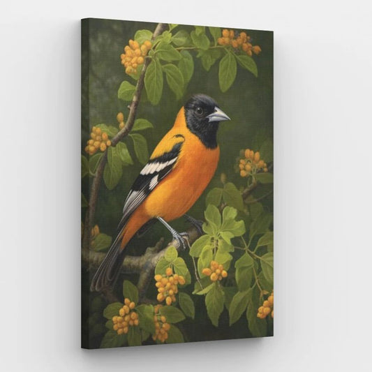 Baltimore Oriole - Paint by Numbers Kit
