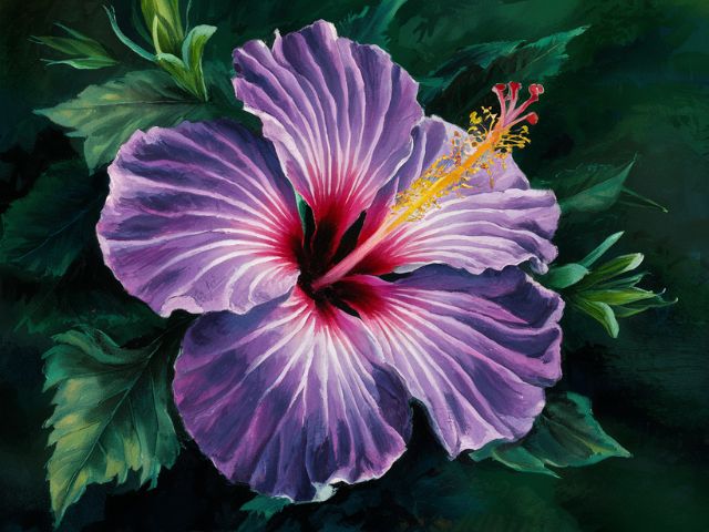 Purple Hibiscus - Paint by Numbers Kit