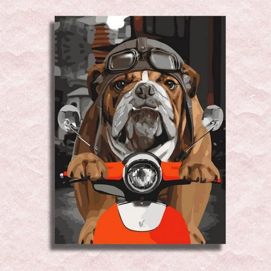 Bulldog on Motorbike - Paint by Numbers Kit