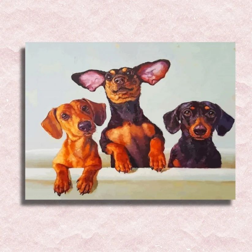 Dachshunds Dogs - Paint by Numbers Kit