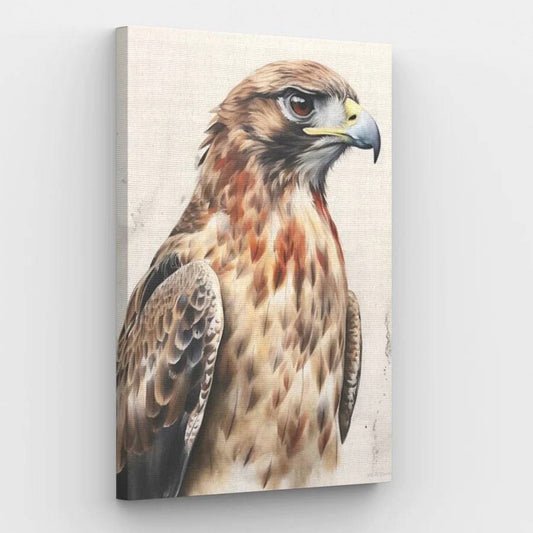Hawk - Paint by Numbers Kit