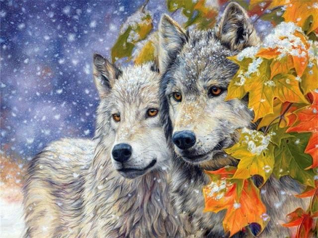 Pair of Wolves in the Snow - Paint by Numbers Kit