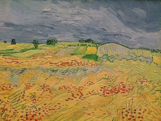 Van Gogh - Plain at Auvers - Paint by Numbers Kit