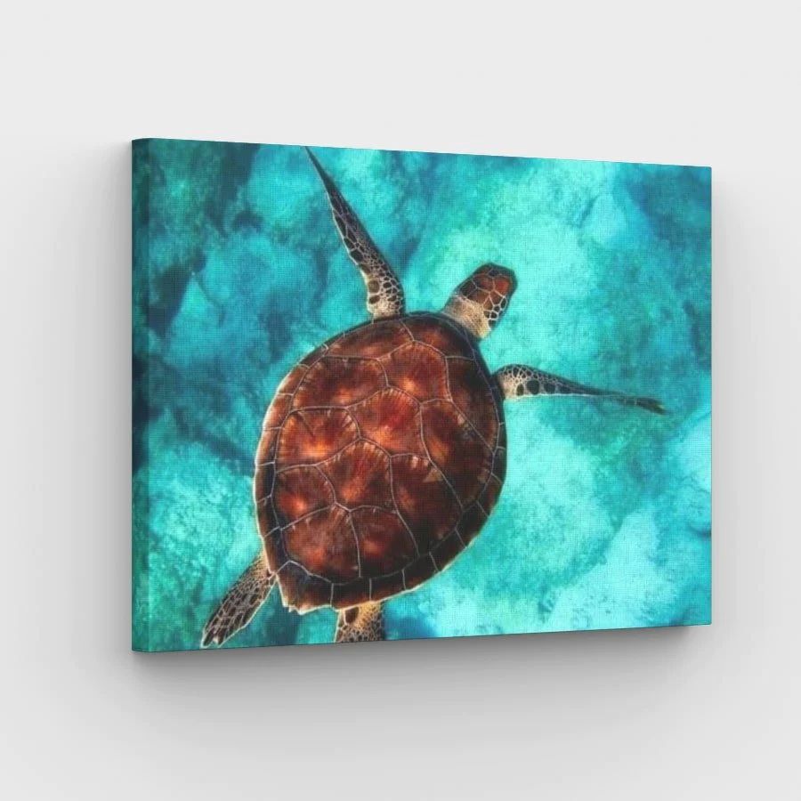 Sea Turtle - Paint by Numbers Kit