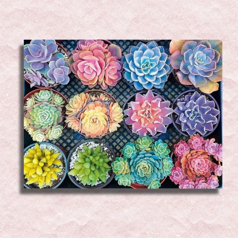 Succulents of all Colors - Paint by Numbers Kit