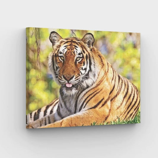 Tiger - Paint by Numbers Kit