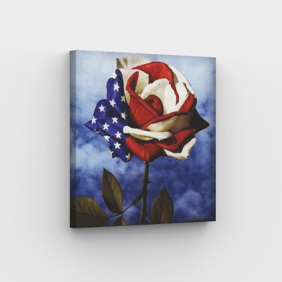 American Rose - Paint by Numbers Kit