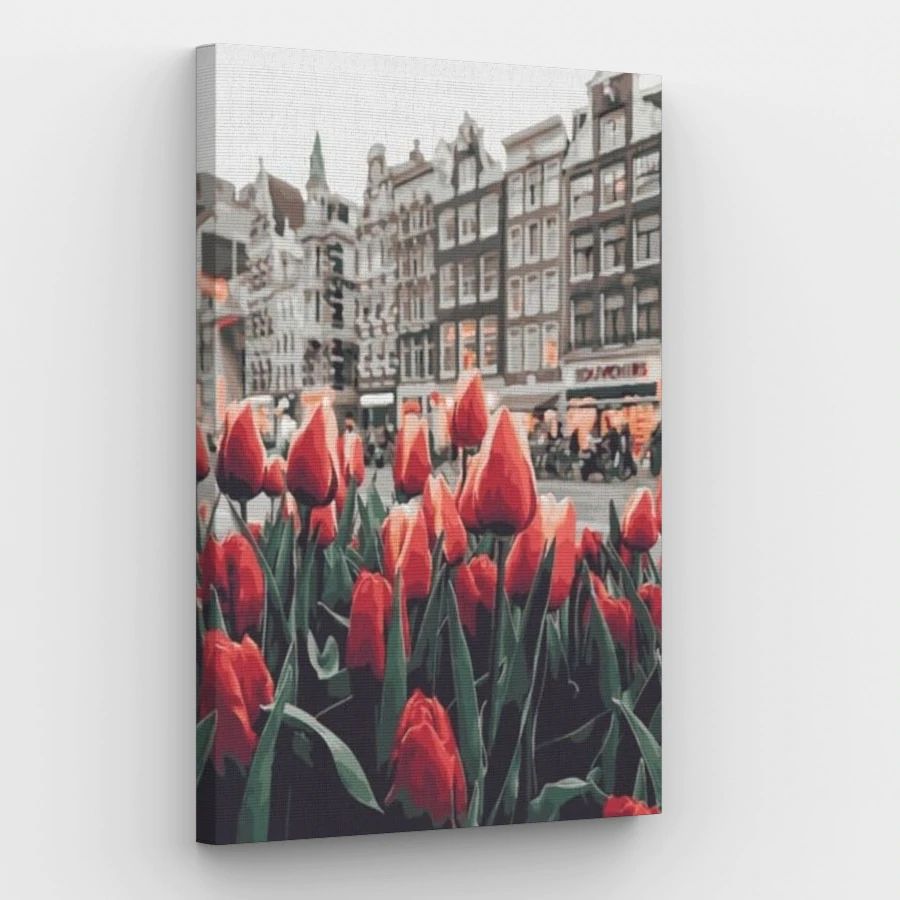 Amsterdam - Paint by Numbers Kit