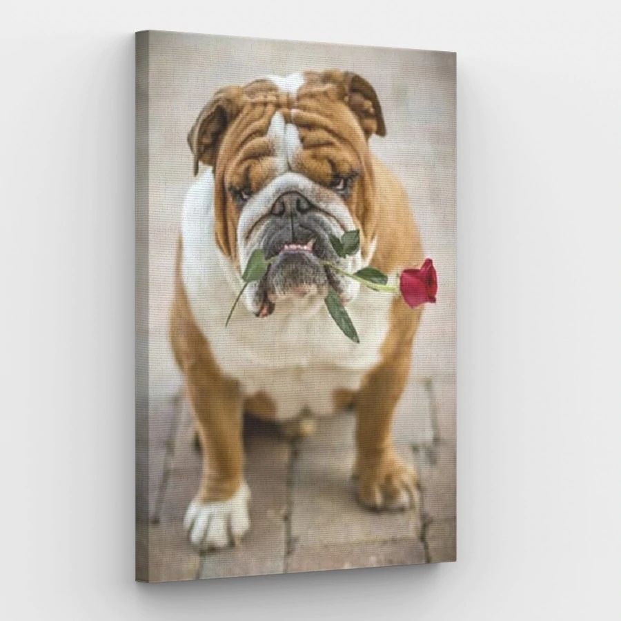 French Bulldog with a Rose - Paint by Numbers Kit