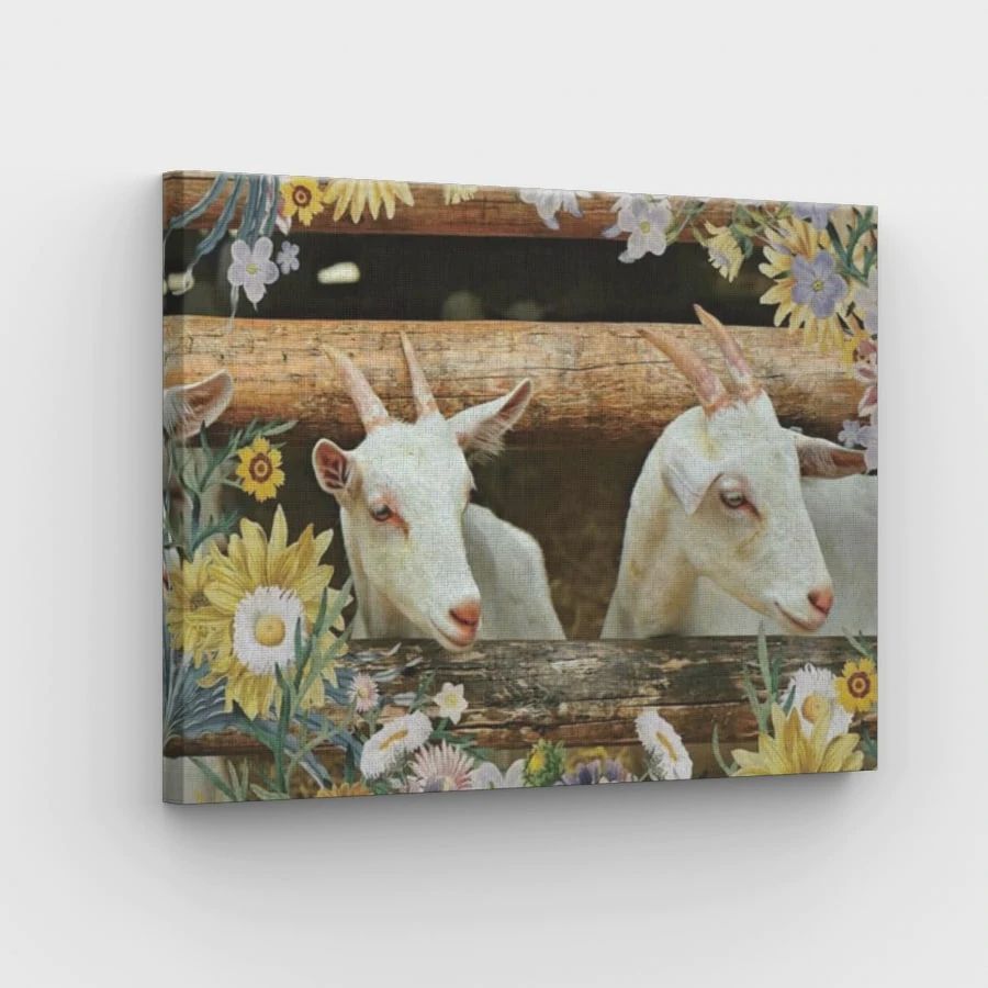Goat - Paint by Numbers Kit