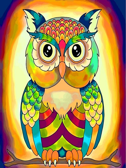 Rainbow Owl - Paint by Numbers Kit