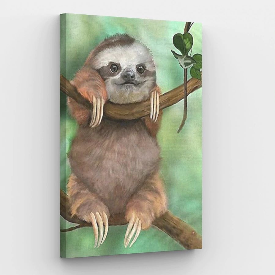 Sloth - Paint by Numbers Kit