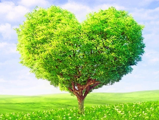 Spring Heart Tree - Paint by Numbers Kit