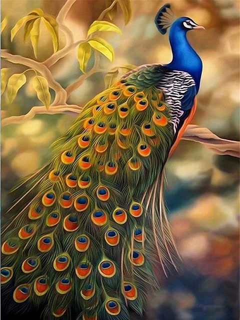 Amazing Peacock - Paint by Numbers Kit