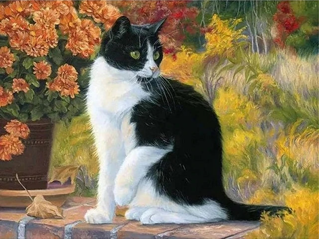 Beautiful Cat - Paint by Numbers Kit