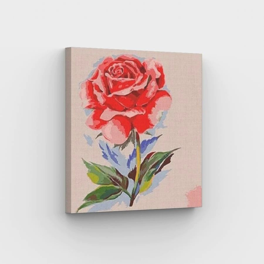Beautiful Red Rose - Paint by Numbers Kit