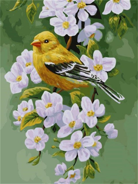 Bird on Blossom Tree - Paint by Numbers Kit