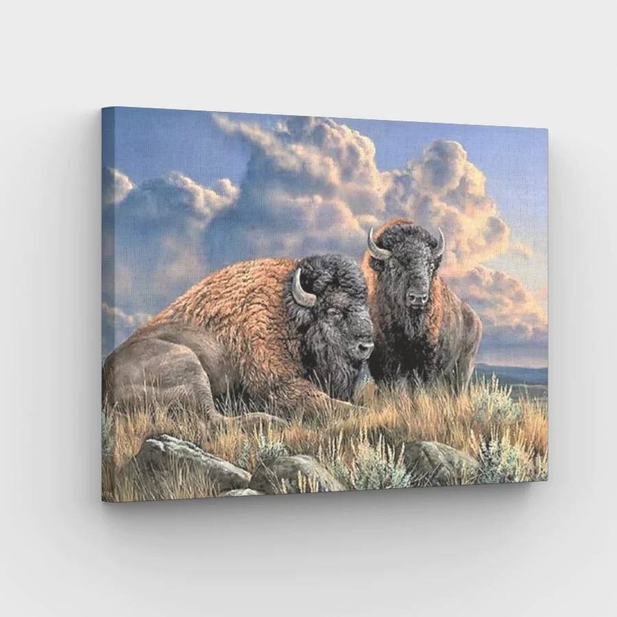 Bison Pair - Paint by Numbers Kit