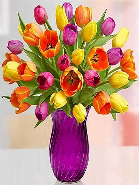 Burst of Tulips - Paint by Numbers Kit
