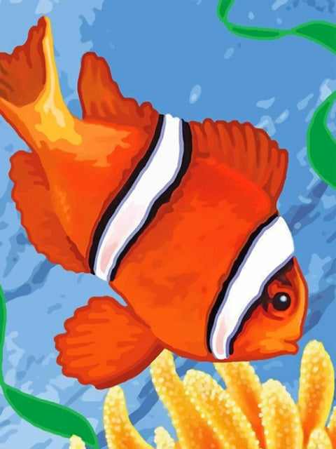 Clown Fish - Paint by Numbers Kit