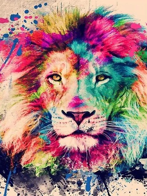 Color Stained Lion - Paint by Numbers Kit