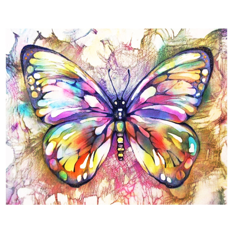Colorful Butterfly  - Paint by Numbers Kit