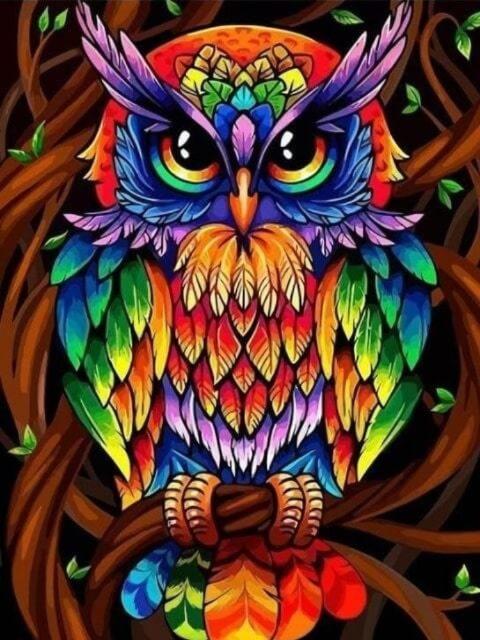 Colorful Owl - Paint by Numbers Kit