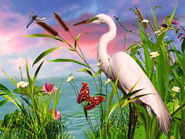 Crane in Pond - Paint by Numbers Kit