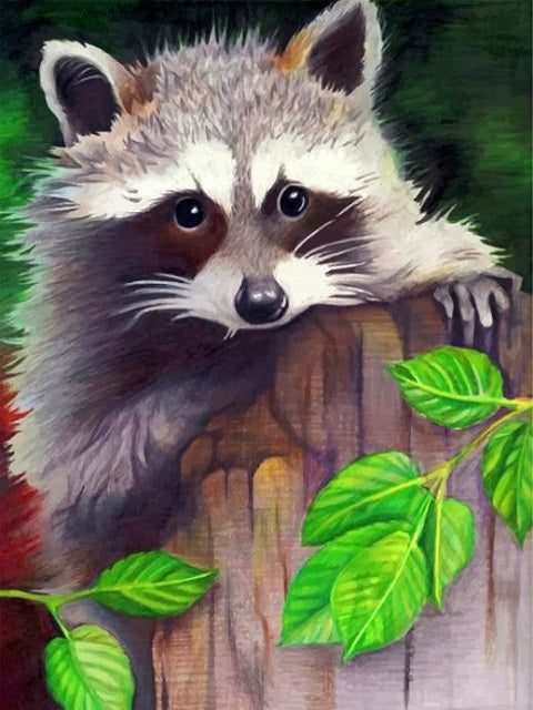 Cute Racoon - Paint by Numbers Kit