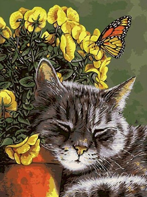 Dreaming Cat - Paint by Numbers Kit