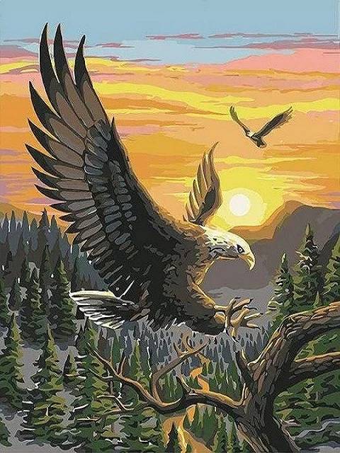 Eagle Flying High - Paint by Numbers Kit