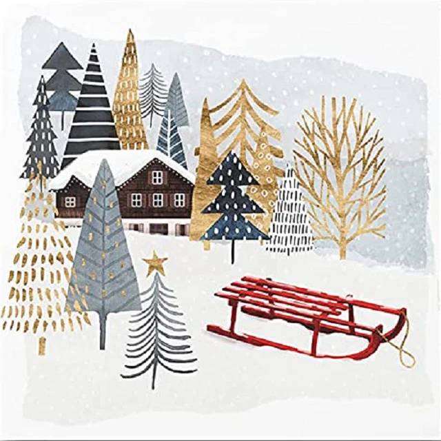 Easy Painting Winter Country - Paint by Numbers Kit