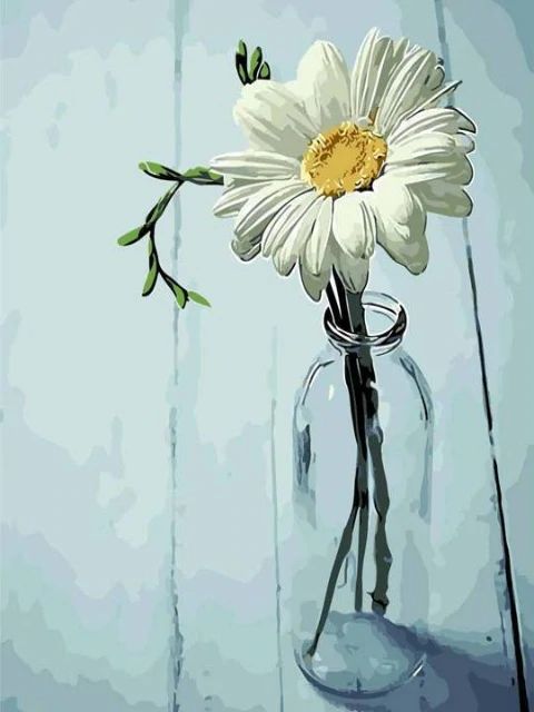 White Daisy - Paint by Numbers Kit