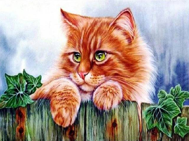 Kitty on the Fence - Paint by Numbers Kit