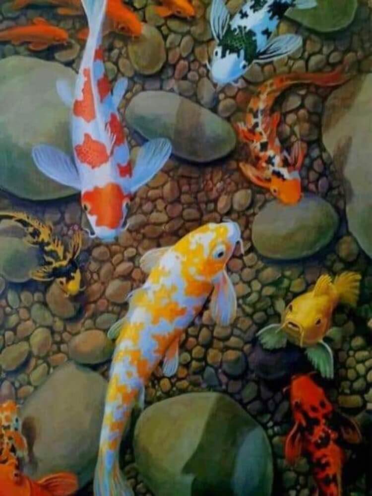 Koi Fish - Paint by Numbers Kit