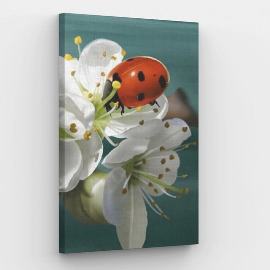 Ladybug and Lilies - Paint by Numbers Kit
