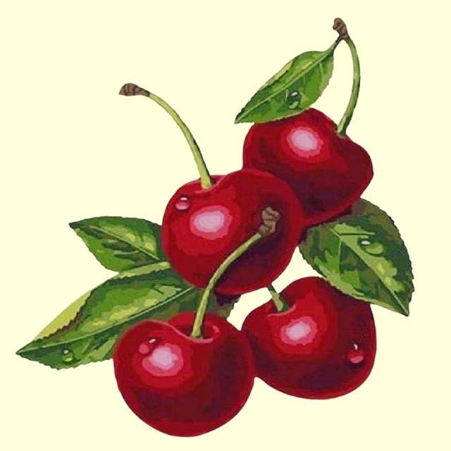Mini Cherries - Paint by Numbers Kit