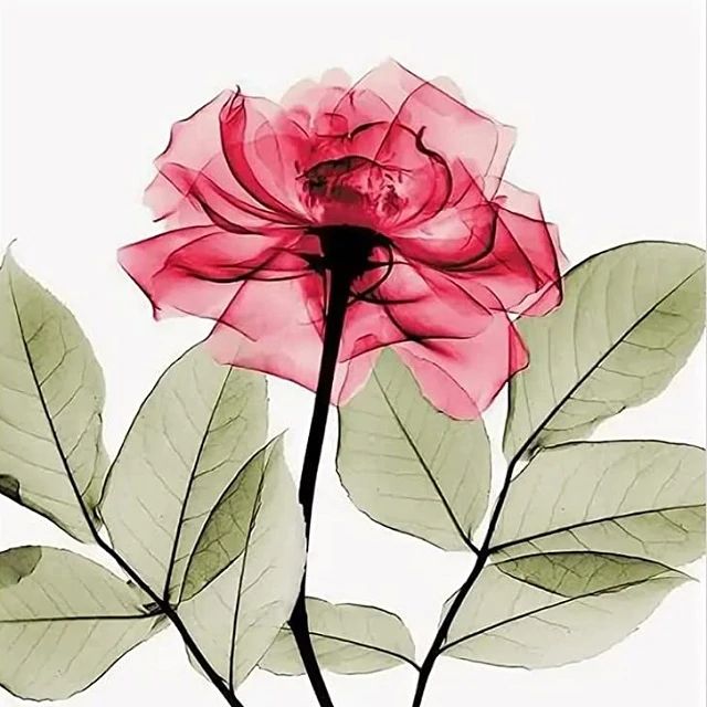 Mini Red Rose - Paint by Numbers Kit