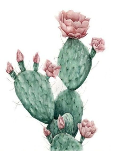Cactus Opuntia - Paint by Numbers Kit