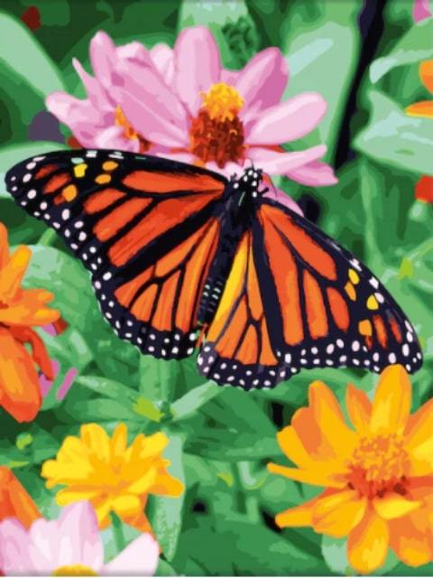 Butterfly on Flower  - Paint by Numbers Kit