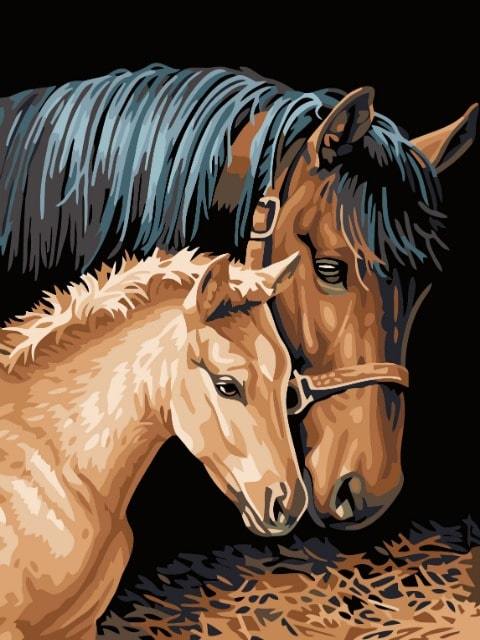 Horse & Foal - Paint by Numbers Kit