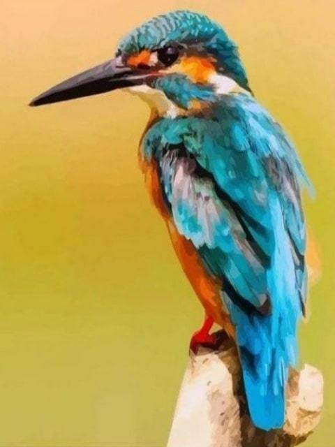Kingfisher - Paint by Numbers Kit