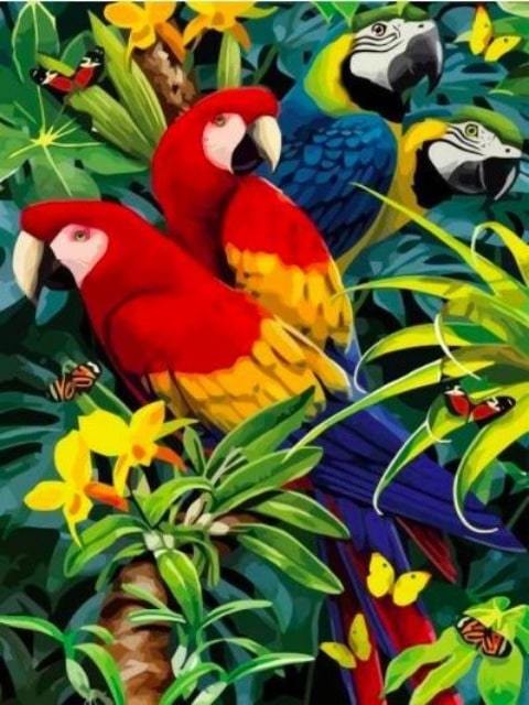 Parrots - Paint by Numbers Kit