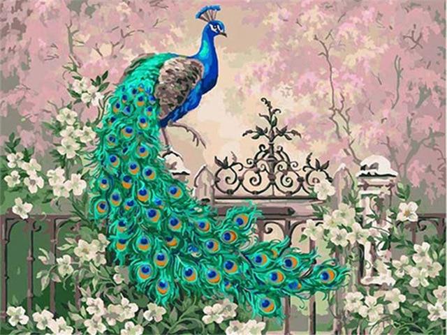 Peacock - Paint by Numbers Kit