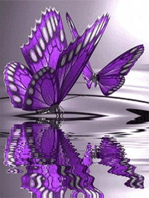 Purple Butterflies - Paint by Numbers Kit