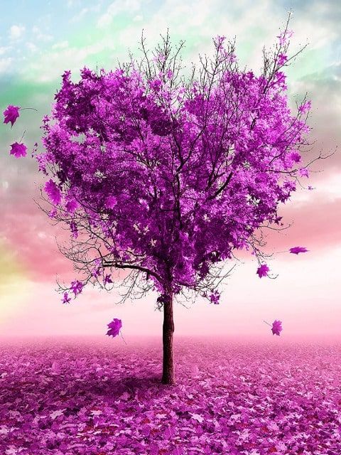 Purple Heart Tree - Paint by Numbers Kit
