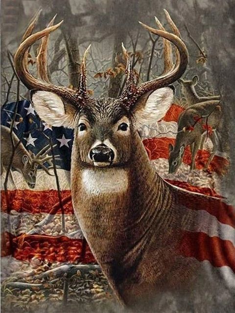 Patriotic Deer - Paint by Numbers Kit