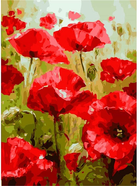 Poppy Flowers - Paint by Numbers Kit