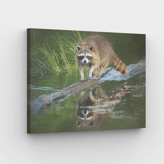Raccoon Reflection - Paint by Numbers Kit