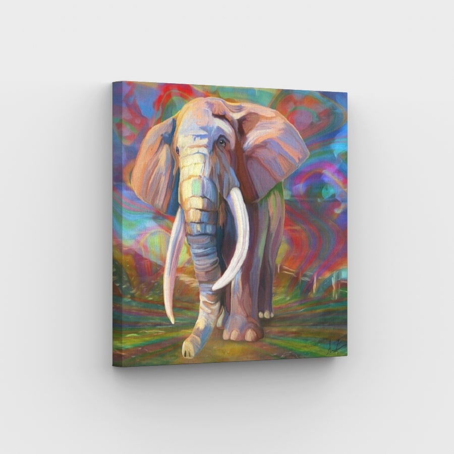 Rainbow Elephant - Paint by Numbers Kit